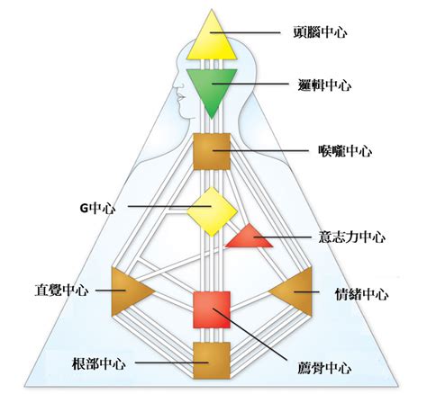 人類圖分析免費|人類圖免費分析》9大能量中心、通道閘門代表什麼意。